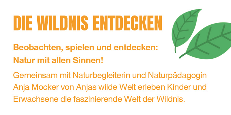 Die Wildnis Entdecken